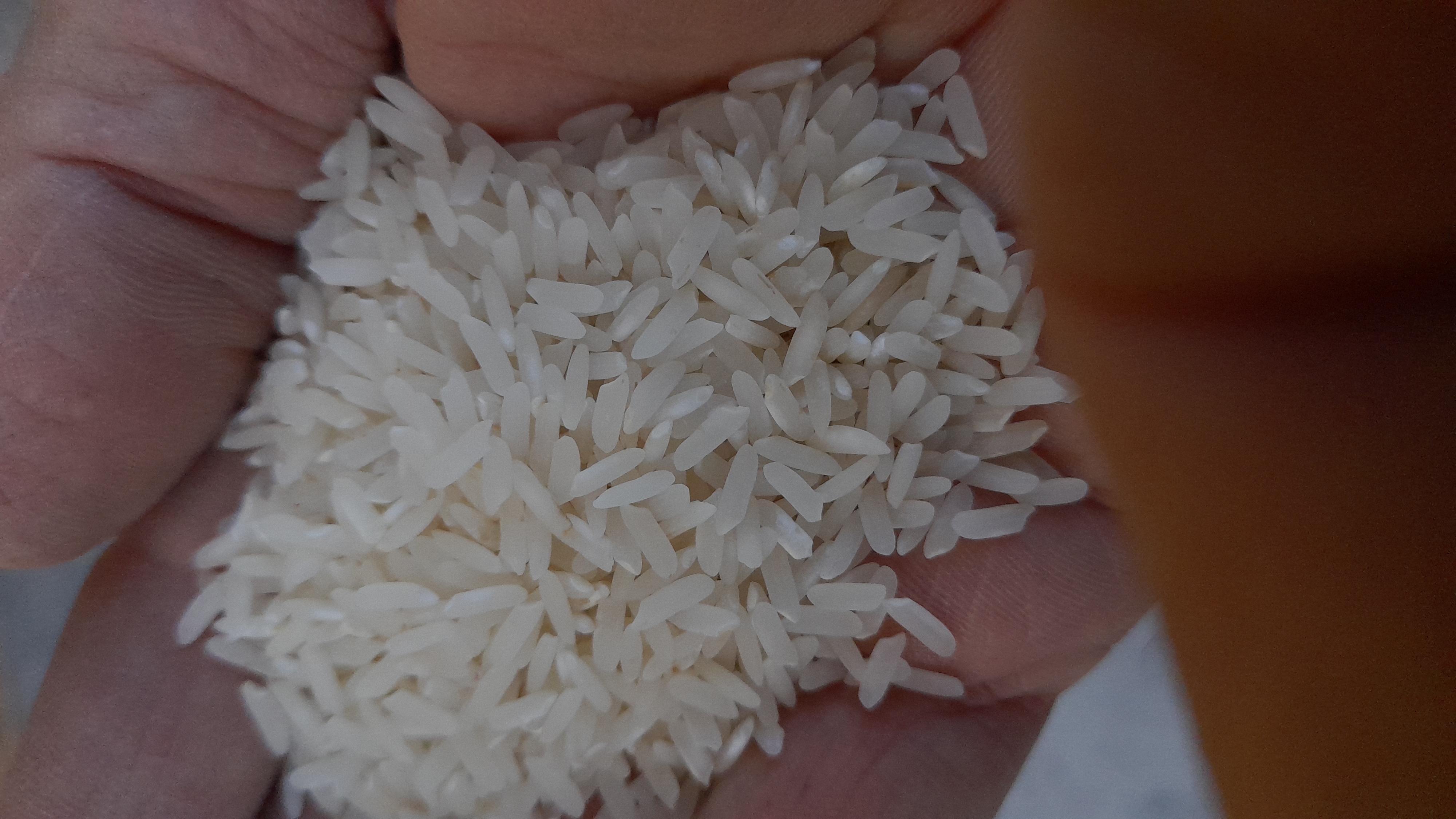 برنج (طارم هلال) -برنجی خوش پخت - سالم واستاندارد.سورتینگ تولید404 ا